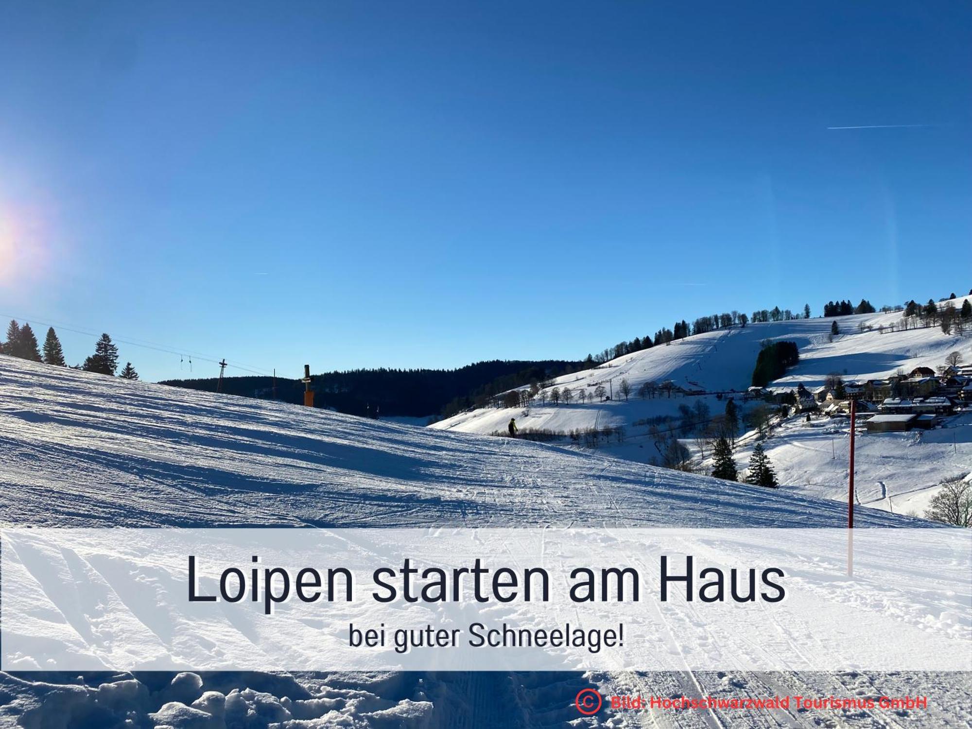 Herzgruen Direkt An Traumhaften Wanderwegen Balkon Mit Toller Aussicht Sauna Im Haus Tiefgarage E-Ladestation Todtnauberg Zewnętrze zdjęcie