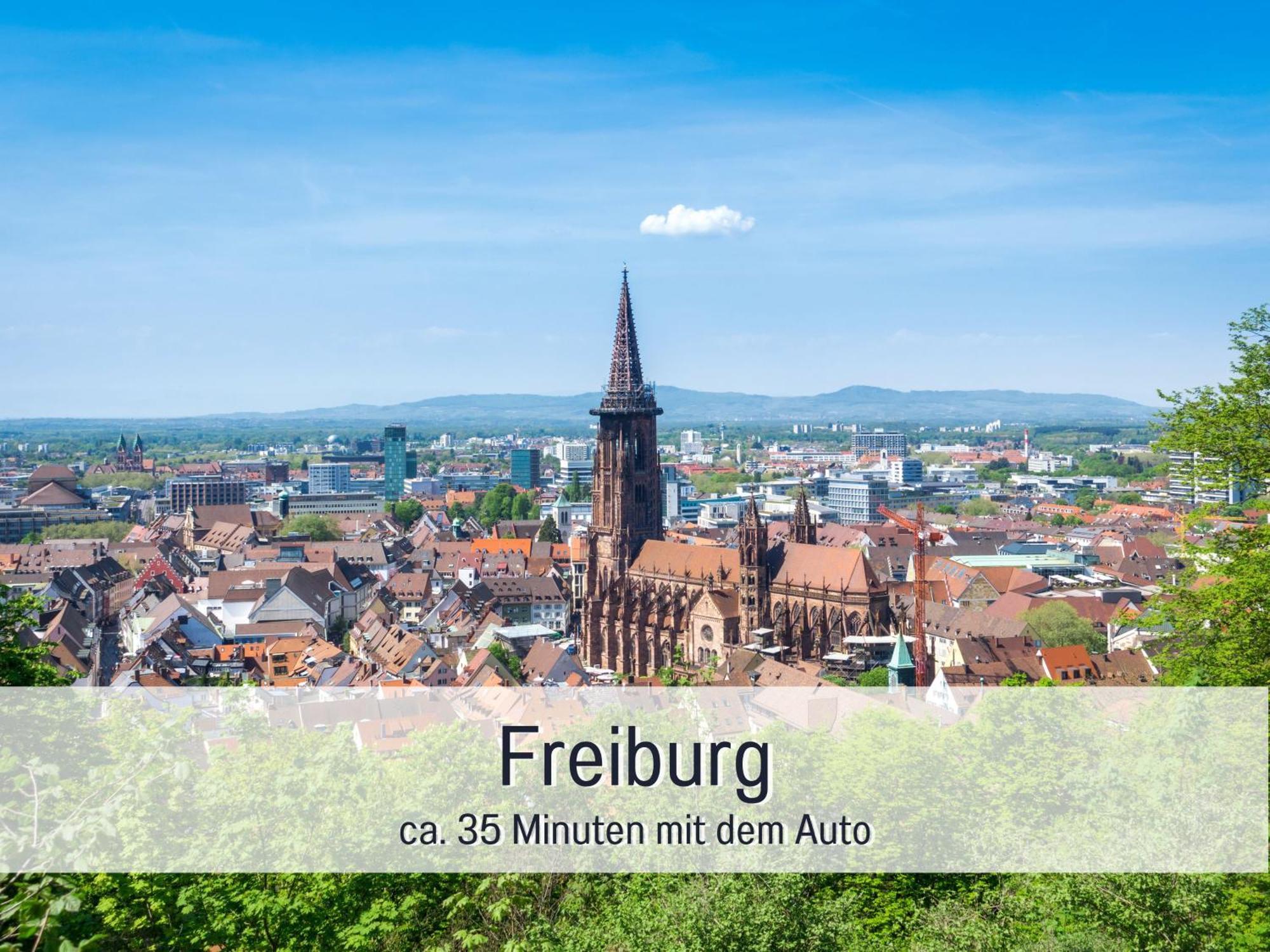 Herzgruen Direkt An Traumhaften Wanderwegen Balkon Mit Toller Aussicht Sauna Im Haus Tiefgarage E-Ladestation Todtnauberg Zewnętrze zdjęcie