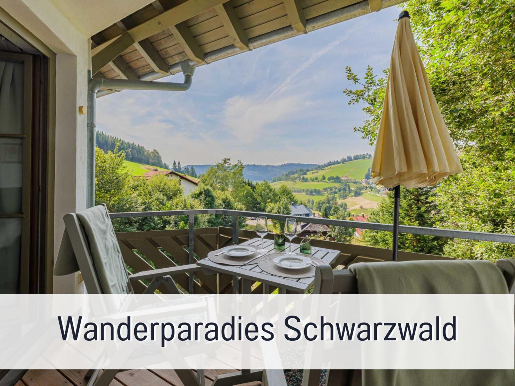 Herzgruen Direkt An Traumhaften Wanderwegen Balkon Mit Toller Aussicht Sauna Im Haus Tiefgarage E-Ladestation Todtnauberg Zewnętrze zdjęcie